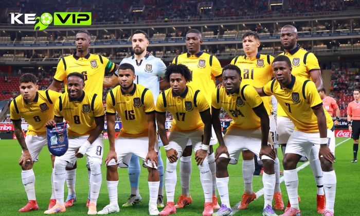 Nhận định soi kèo Bờ Biển Ngà vs Ecuador WC 2026, 6h ngày 15/06 3 Đội tuyển quốc gia Ecuador