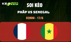 Pháp vs Senegal